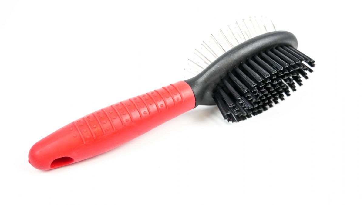 Pin Bristle Brush Large Size Pet Care Products 21001 Shantys Pillmate Pill Box Nit Comb and Pill Accessories